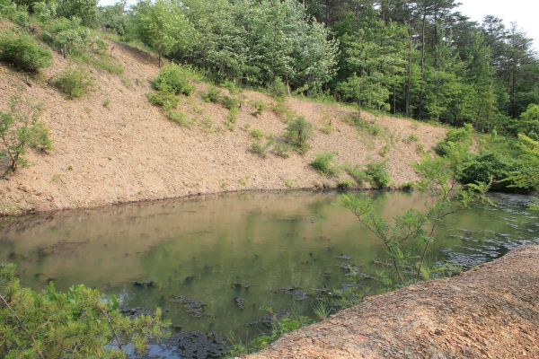 Pond Erosion Repair in Grove City
